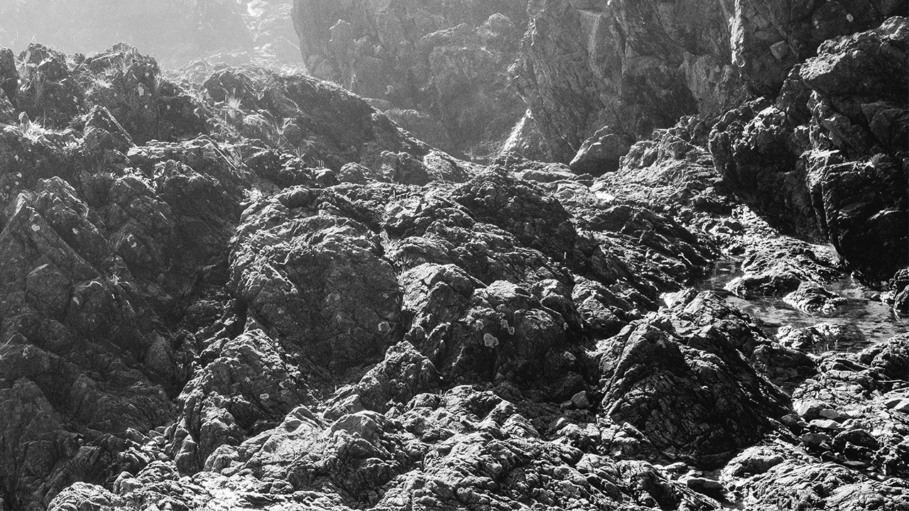 Black & White Studies