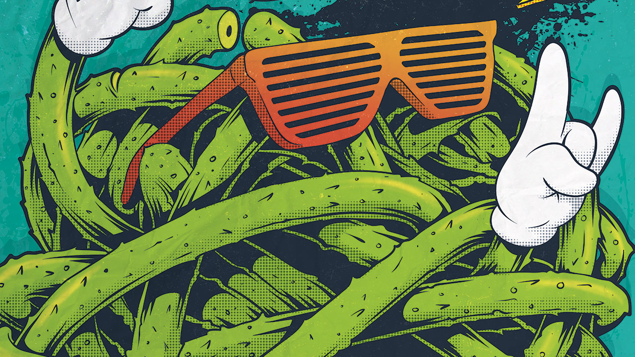 Gringos Fiesta 2015 | Cover | Illustration by Artjom Meister | art-mas.com